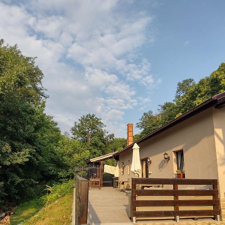 Casa De Vacanta Radu Novaci-Străini Buitenkant foto