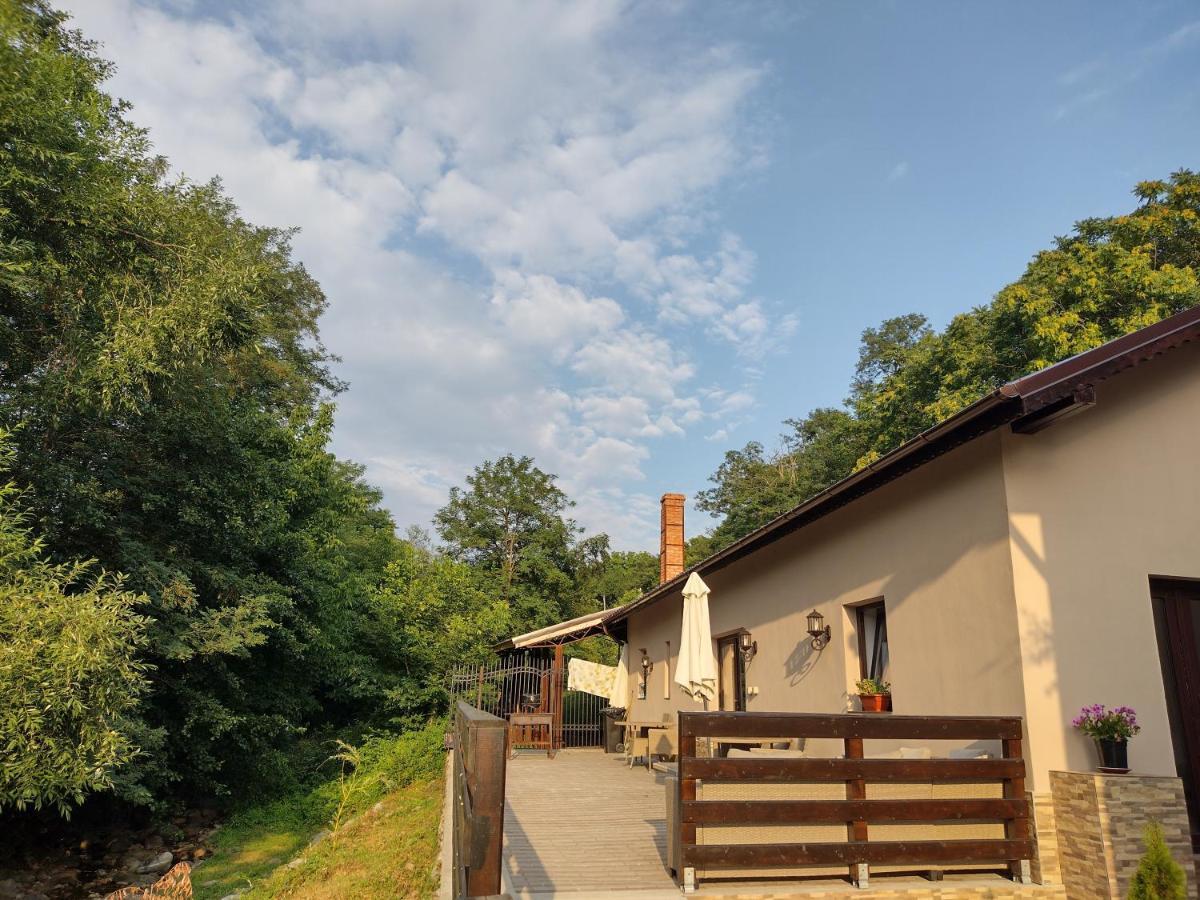 Casa De Vacanta Radu Novaci-Străini Buitenkant foto