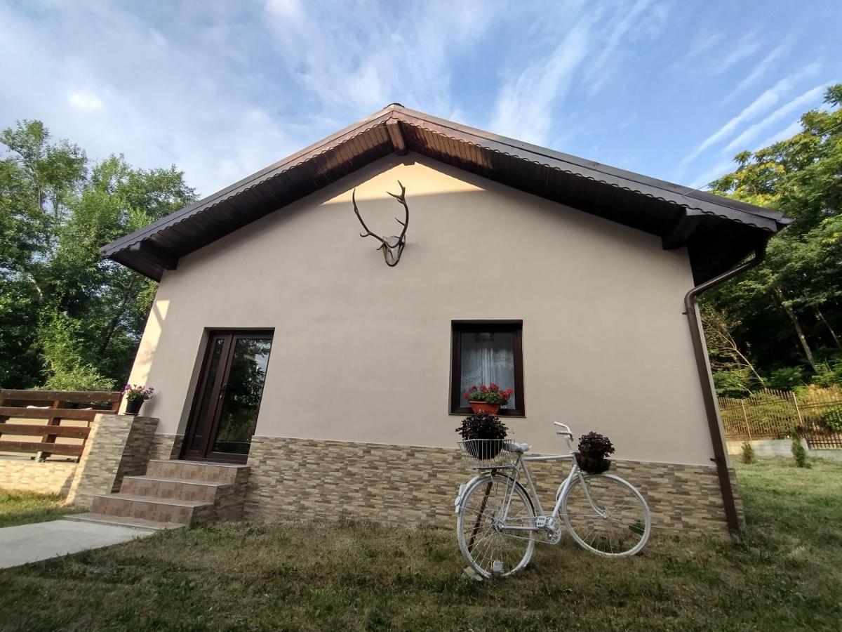 Casa De Vacanta Radu Novaci-Străini Buitenkant foto