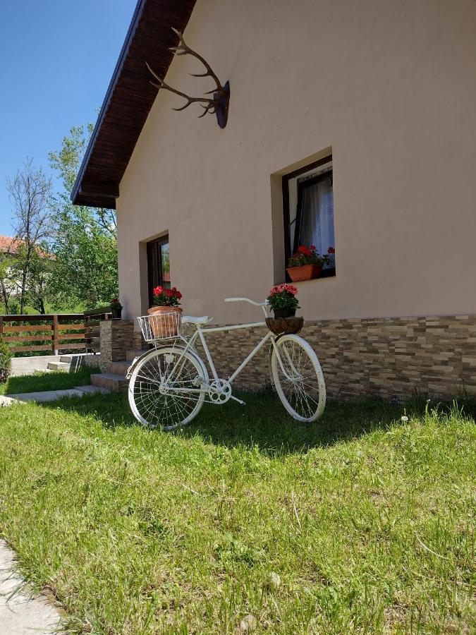 Casa De Vacanta Radu Novaci-Străini Buitenkant foto